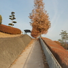 冬、バス停にて