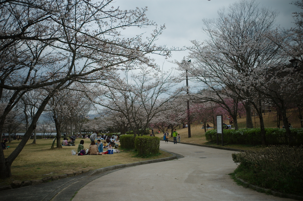 鏡山公園散策スナップ