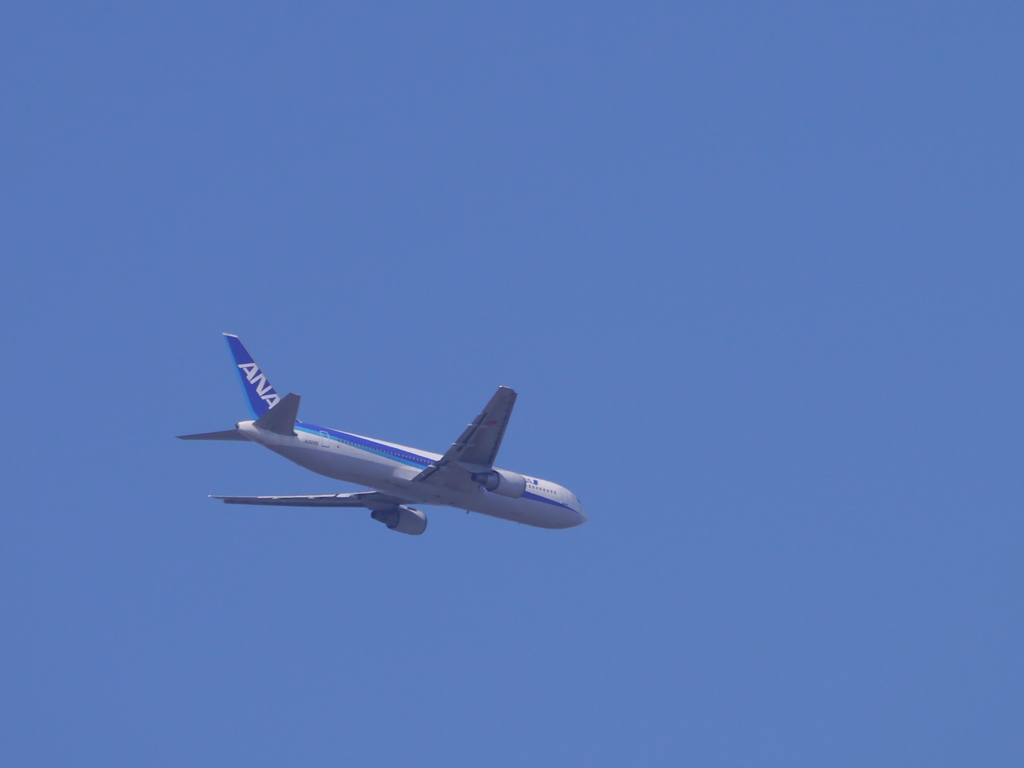 ANA機
