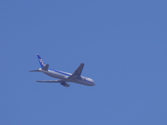 ANA機