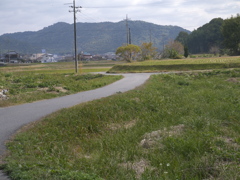 別れ道