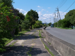 夏の予感・アスファルトの暑さ