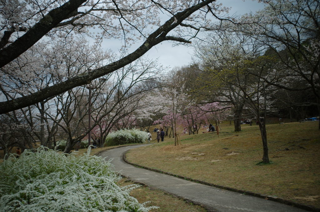 鏡山公園散策スナップ