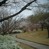 鏡山公園散策スナップ
