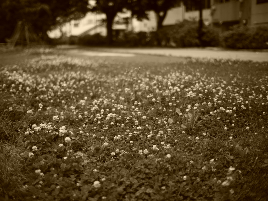 F0.95の視界