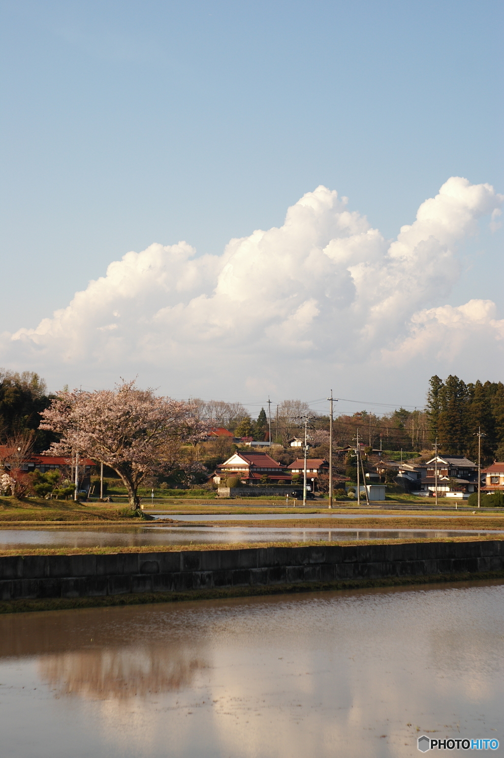 田水張る