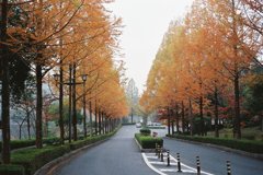 秋の鏡山公園