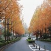 秋の鏡山公園