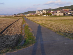 足長おじさんの影？