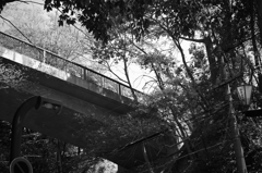 比治山公園散策スナップ