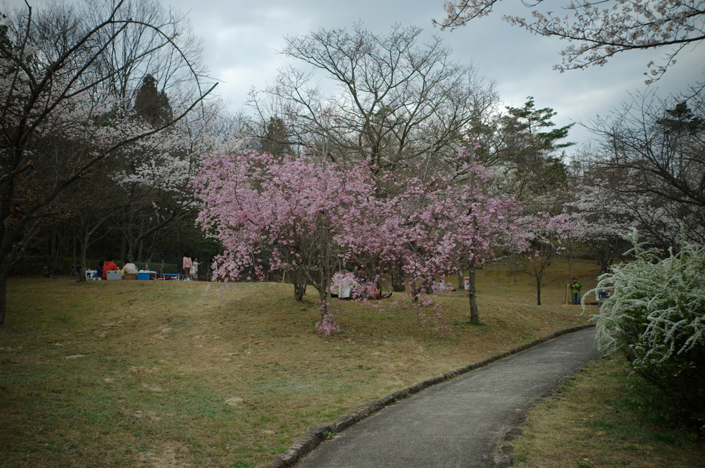 鏡山公園散策スナップ