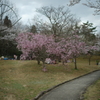 鏡山公園散策スナップ