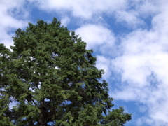 ３週間ぶりの晴れの日曜日