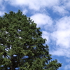 ３週間ぶりの晴れの日曜日