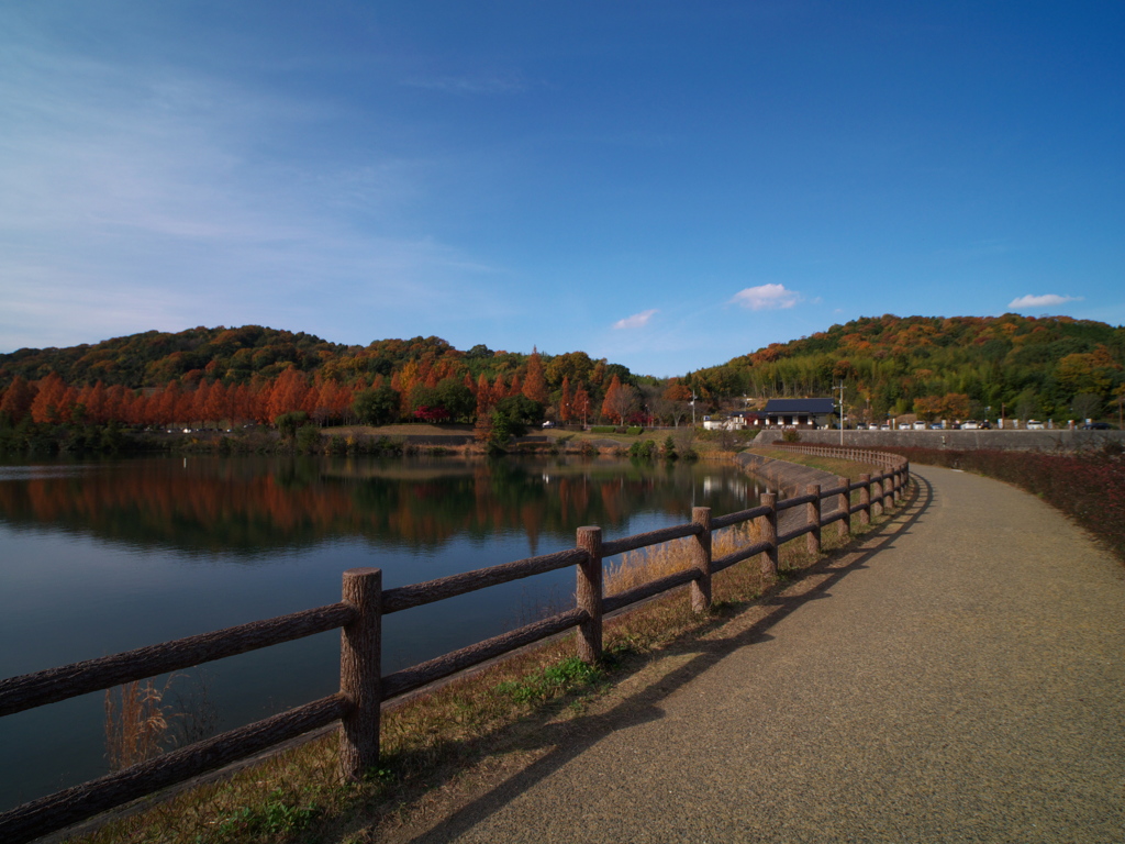 試写・Kowa PROMINAR 8.5mm F2.8