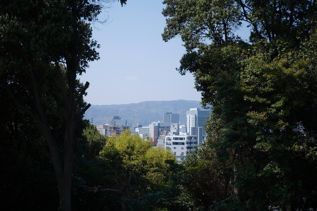 比治山公園散策スナップ