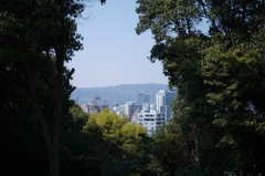 比治山公園散策スナップ