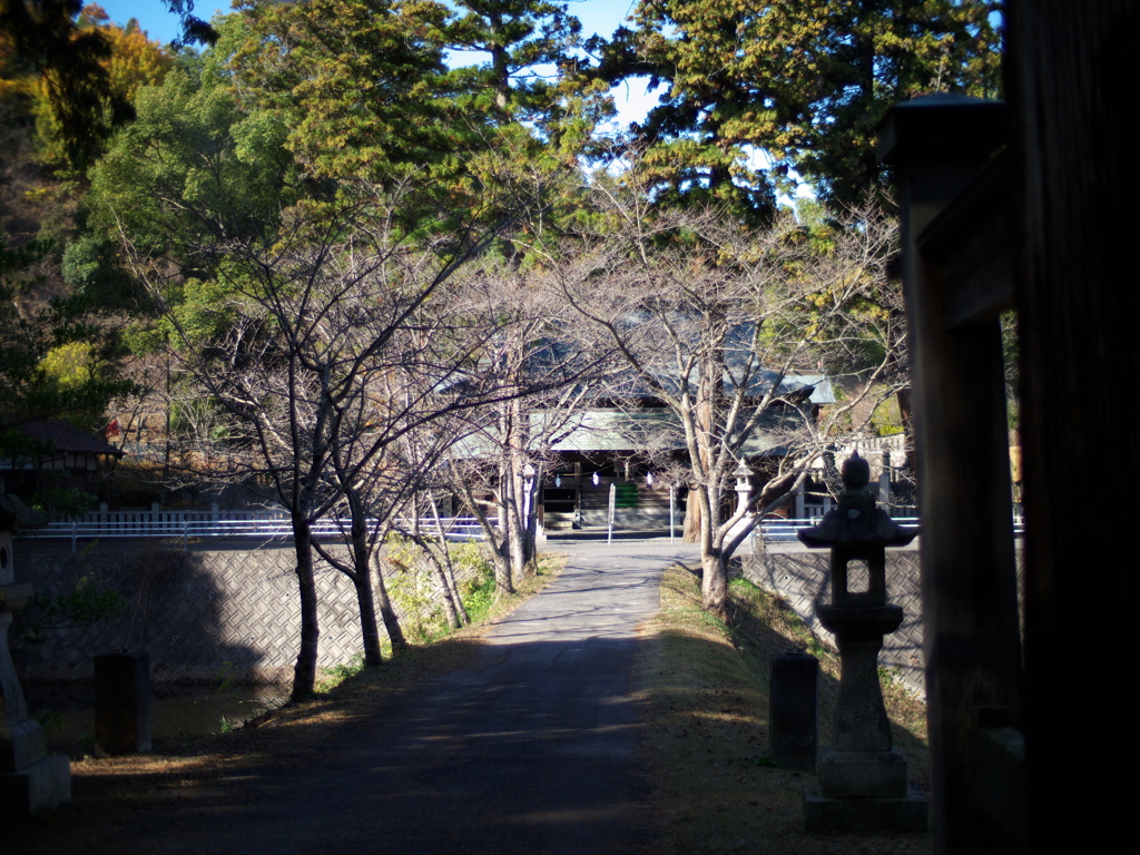 氏神社