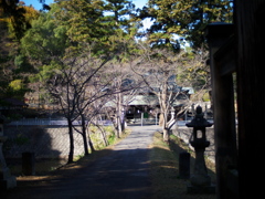 氏神社