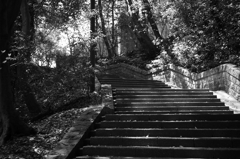 比治山公園散策スナップ