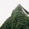 蔦屋敷