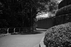 比治山公園散策スナップ