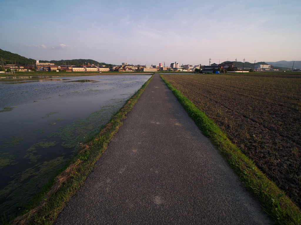 Line