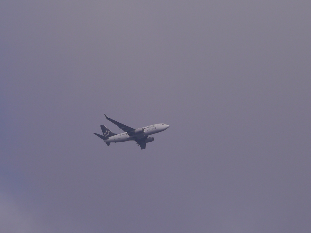 ユナイテッド航空・スターアライアンス機
