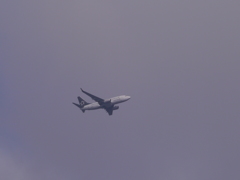 ユナイテッド航空・スターアライアンス機