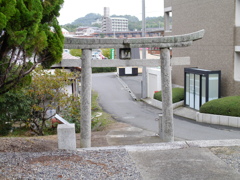 築地神社・境内から街を見る