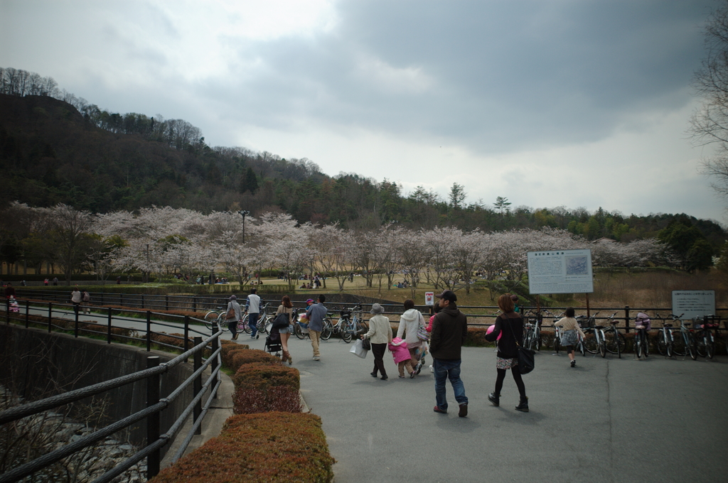 鏡山公園散策スナップ