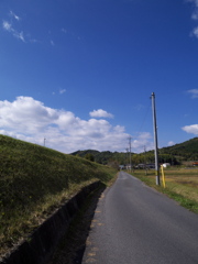 真っ直ぐな小道と青空の下で