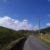 真っ直ぐな小道と青空の下で