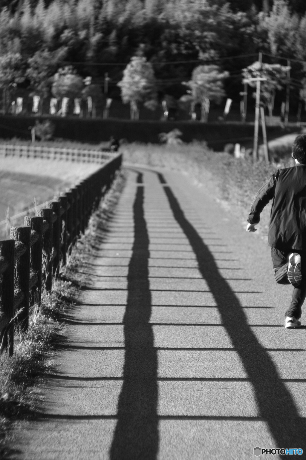 作例：Canon Serenar 85mm F2.0 L-Mount