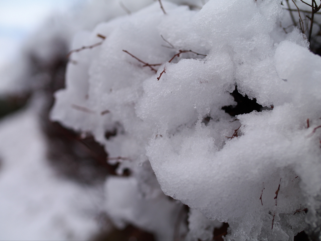雪を纏うように