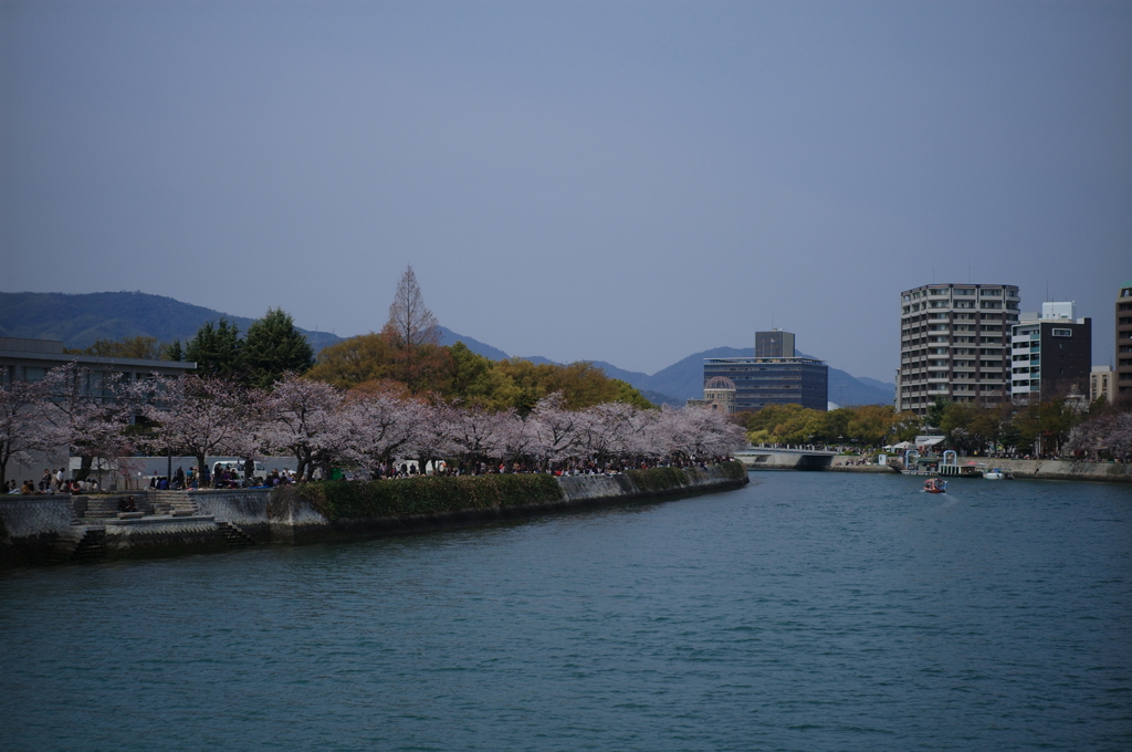 平和大橋から春を見た