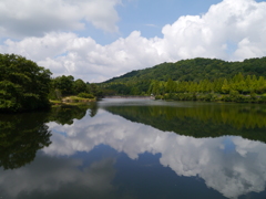 夏残る鏡山公園