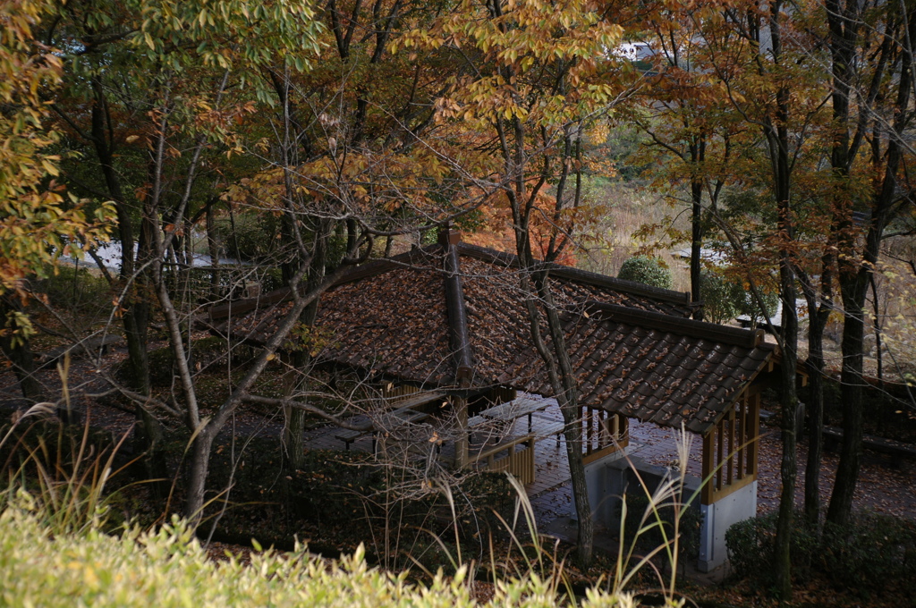 晩秋の東屋