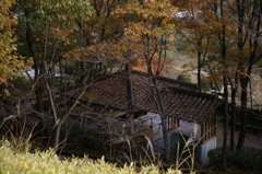 晩秋の東屋