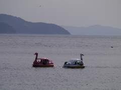 白鳥の湖