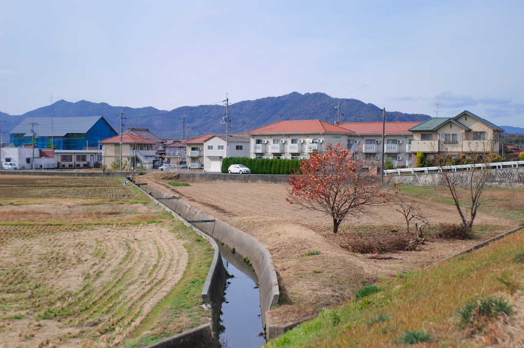 黒瀬川を散歩・川土手から見下ろせば