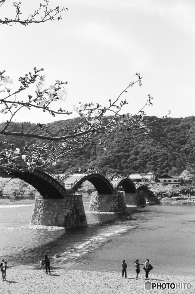 卯月・錦帯橋