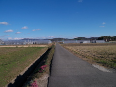 焦点28mmの世界