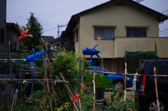 青い風車