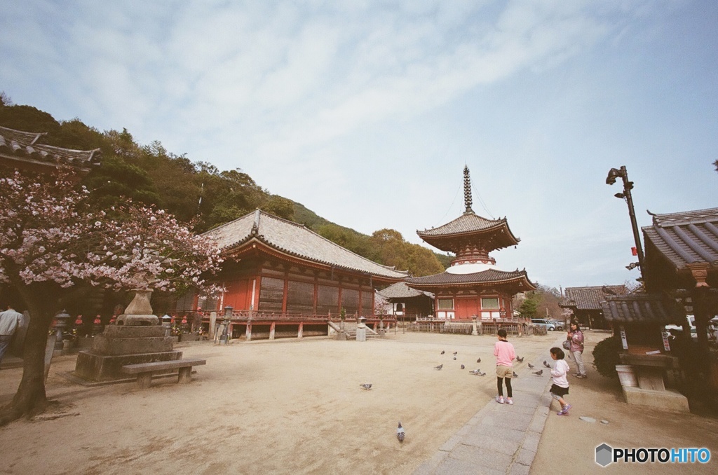 尾道・浄土寺