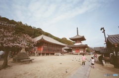 尾道・浄土寺