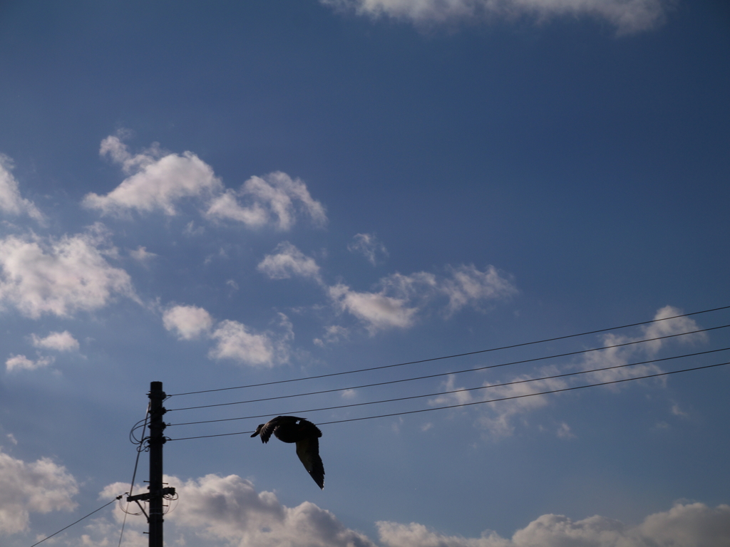 青空に飛び出す