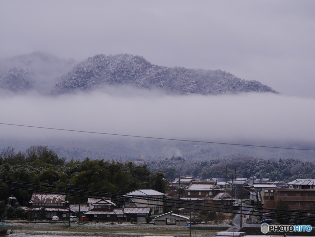 春雪