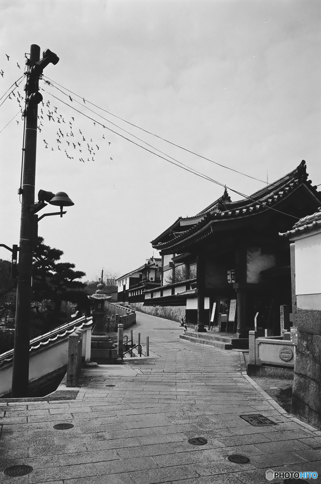 尾道