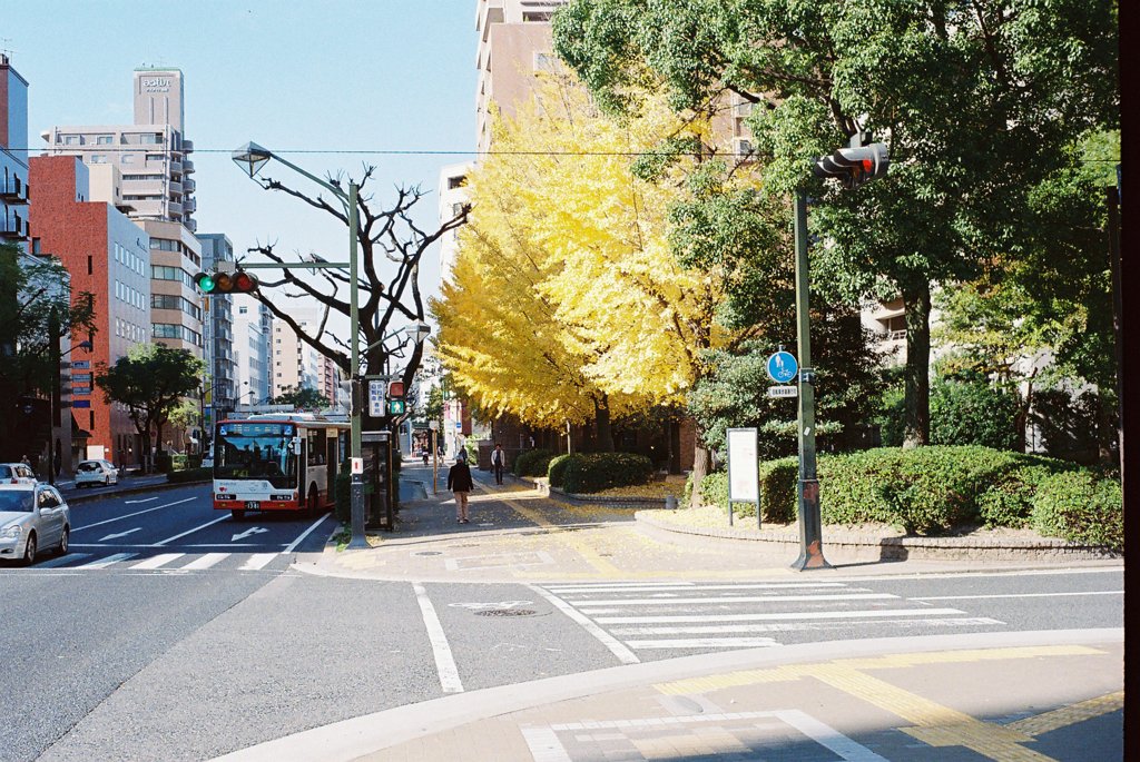金色のストリート